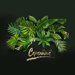 Ristorante La Capannina, Porto San Giorgio orari di apertura