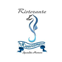 Hippocampus, Cosenza orari di apertura