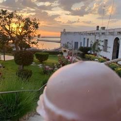 Bar Mignon - Caffetteria - Pasticceria - Gelateria, Bisceglie orari di apertura