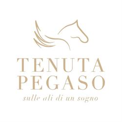 Ristorante Tenuta Pegaso, Caiazzo orari di apertura