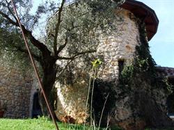 Agriturismo Colle Spinoso, Scifelli orari di apertura