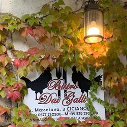 Trattoria Bistrò dai Galli, Ciciano orari di apertura