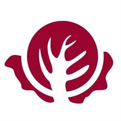 Radicchio Rosso Ristorante Pizzeria, Ravenna orari di apertura