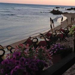 "La Pineta" Ristorante di Risa srls- Lido - Bar, Marinella orari di apertura