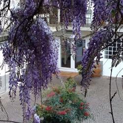 Ristorante Boccondivino, Bra orari di apertura