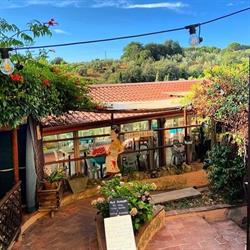 L'Orto Etrusco Di Bussotti Gianni Pizzeria Bar Gelati, Bibbona orari di apertura