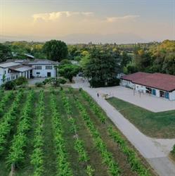 Agriturismo Il Rovere, Lonato del Garda orari di apertura