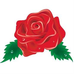 Red Rose, Civitavecchia orari di apertura