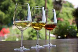 Agriturismo Da U Cantin, San Colombano Certenoli orari di apertura