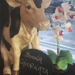 Bar Friends S.n.c. Di Balletti Massimo e C., Mulazzano orari di apertura