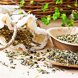 Erboristeria Green Pharma Di Jesi (Ancona) - Franchising Erboristerie D'italia, orari di apertura