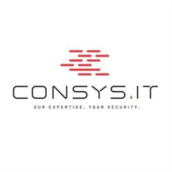 Consys.it S.r.l., Rho orari di apertura