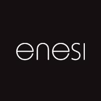 Enesi S.r.l., Casale Monferrato orari di apertura