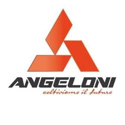 Angeloni, Montecarotto orari di apertura