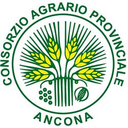 Consorzio Agrario Provinciale di Ancona, Jesi orari di apertura