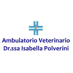 Ambulatorio Veterinario Polverini Dr.ssa Isabella, Ancona orari di apertura
