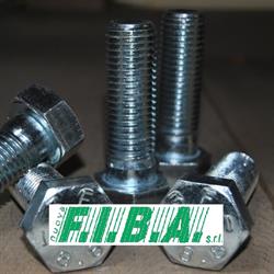 Nuova F.i.b.a. S.r.l., Arezzo orari di apertura