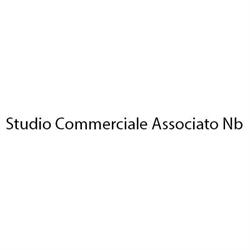 NB studio Commerciale Associato Dr. Nappini D. E Rag. Bartolini F., Cortona orari di apertura