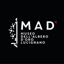 MAD' Museo dell'Albero d'Oro di Lucignano, orari di apertura