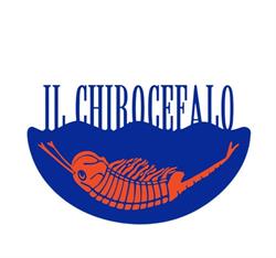 Il Chirocefalo SOC. COOP. a R.l., Montemonaco orari di apertura
