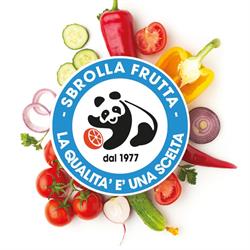 Sbrolla Luigi & C. Snc Ingrosso Frutta, Sant'Elpidio a Mare orari di apertura