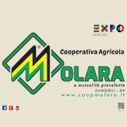 Cooperativa Agricola Molara, Zungoli orari di apertura
