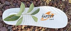New Safety Work S.r.l., Barletta orari di apertura