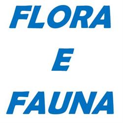 Flora e Fauna, Noci orari di apertura
