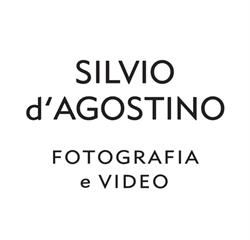 Silvio D'agostino, Molfetta orari di apertura