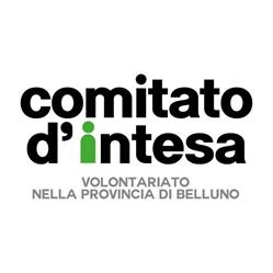 Comitato D'intesa Tra Le Associazioni Volontaristiche Della Provincia Di Belluno, orari di apertura