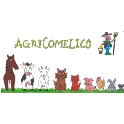 Agricomelico Agraria Green Rock, San Nicolò di Comelico orari di apertura