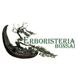 Bonsai, San Giorgio del Sannio orari di apertura