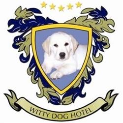 Witty Dog Hotel S.R.L., Scanzorosciate orari di apertura