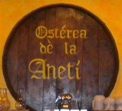 Aneti' S.r.l., Bergamo orari di apertura