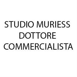 Studio Muriess Dottore Commercialista, Biella orari di apertura