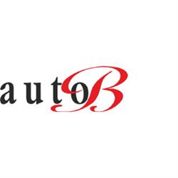 Autofficina Auto B, Pianoro orari di apertura