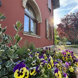 IL BARONE ROSSO, Sant'Agata Bolognese orari di apertura