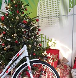 Nrg Bike Di Lorenzo Boscaro, Bolzano orari di apertura