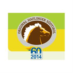 Haflinger Sudtirol, Bolzano orari di apertura