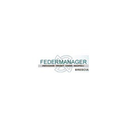 Associazione Dirigenti Aziende Industriali Federmanager, Brescia orari di apertura
