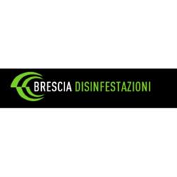 Brescia Disinfestazioni, orari di apertura