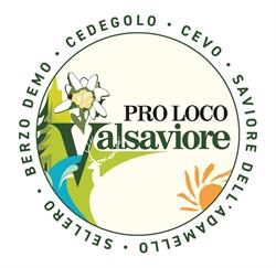 Associazione Pro Loco Valsaviore, Cevo orari di apertura