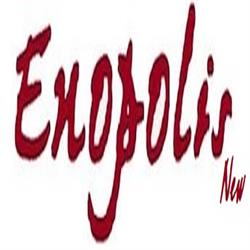 Enopolis SRL Vini Champagne Distillati, Roncadelle orari di apertura