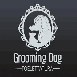 Grooming Dog Toelettatura, San Cataldo orari di apertura