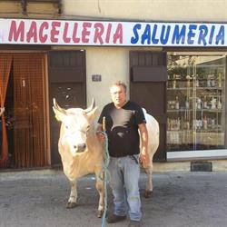 Casolla Carni S.A.S., Caserta orari di apertura