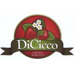 Azienda Agricola Di Cicco, Villa Literno orari di apertura