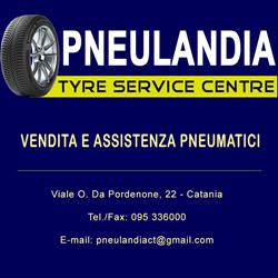 Pneulandia Di Amore Francesco & C. S.a.s., Catania orari di apertura
