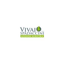Azienda Agricola Vivai Spadaccini Ss, San Salvo orari di apertura