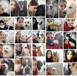 Amici Miei SAS Di Genco Francesca e C., Porlezza orari di apertura