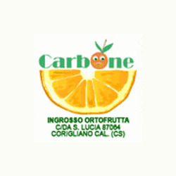 Carbone Raffaele & Figli, Corigliano calabro stazione orari di apertura